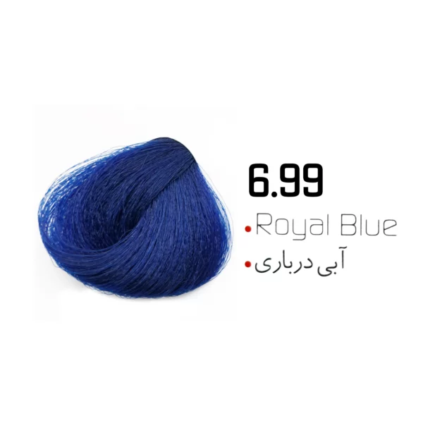 شامپو رنگ دوماسی شماره 6.99 آبی درباری 300 میل