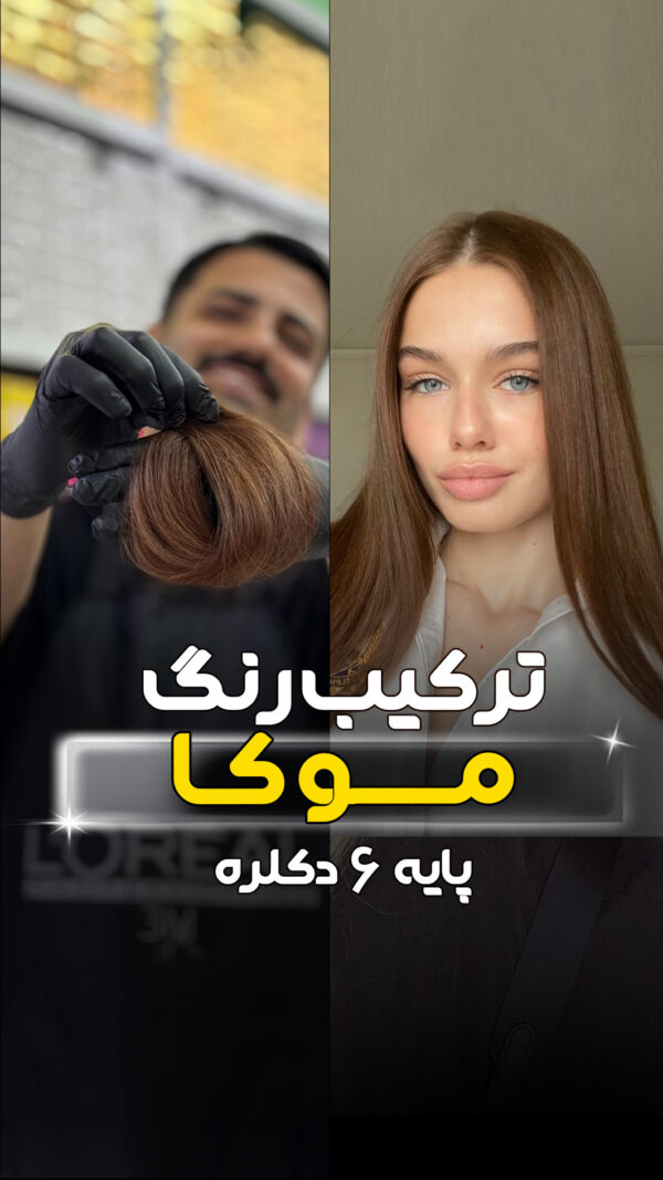 ترکیب رنگ موکا