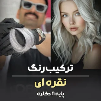 فرمول ترکیب رنگ نقره ایی پایه ۹ دکلره