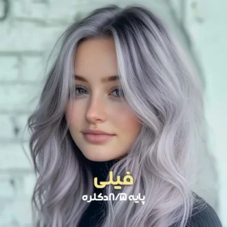 ترکیب رنگ فیلی