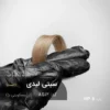 رنگ مو سیتی لیدی بیسکویتی بژ روی پایه 8 دکلره با تناژ بژ روشن و بیسکویتی