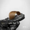 رنگ مو وُرلد پاین بژ نسکافه ای روی پایه 8 دکلره با تناژ طبیعی و حرفهای