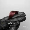 رنگ مو گِرَپ واین انگوری روی پایه ۹ دکلره با تناژ انگوری عمیق و شفاف