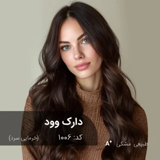 ترکیب رنگ دارک وود (خرمایی سرد) کد 1006