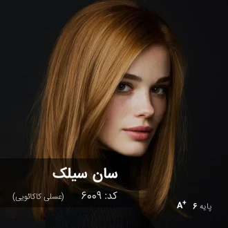 ترکیب رنگ سان سیلک (عسلی کاکائویی) کد 6009