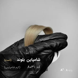 رنگ موی شامپاین بلوند کرم شامپاینی روی موهای پایه دکلره 8 با تناژ روشن و براق