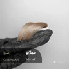 رنگ مو میلانو کرم بیسکویتی روی پایه 9