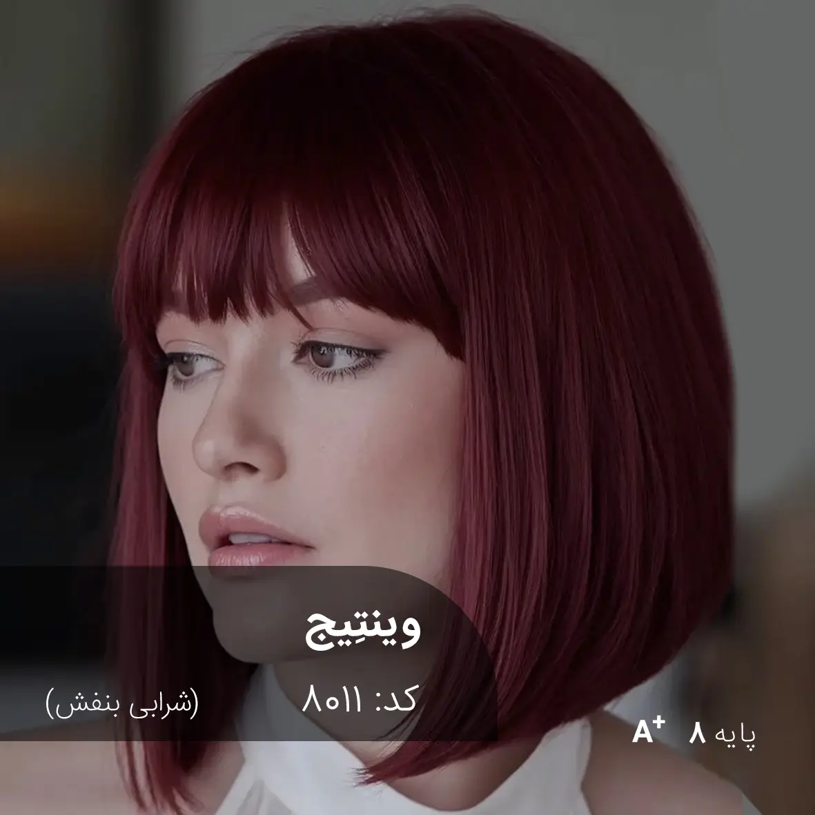 ترکیب رنگ وینتِیج (شرابی بنفش) کد 8011 رنگ موی وینتِیج شرابی بنفش روی موهای پایه دکلره 8 با درخشندگی بالا