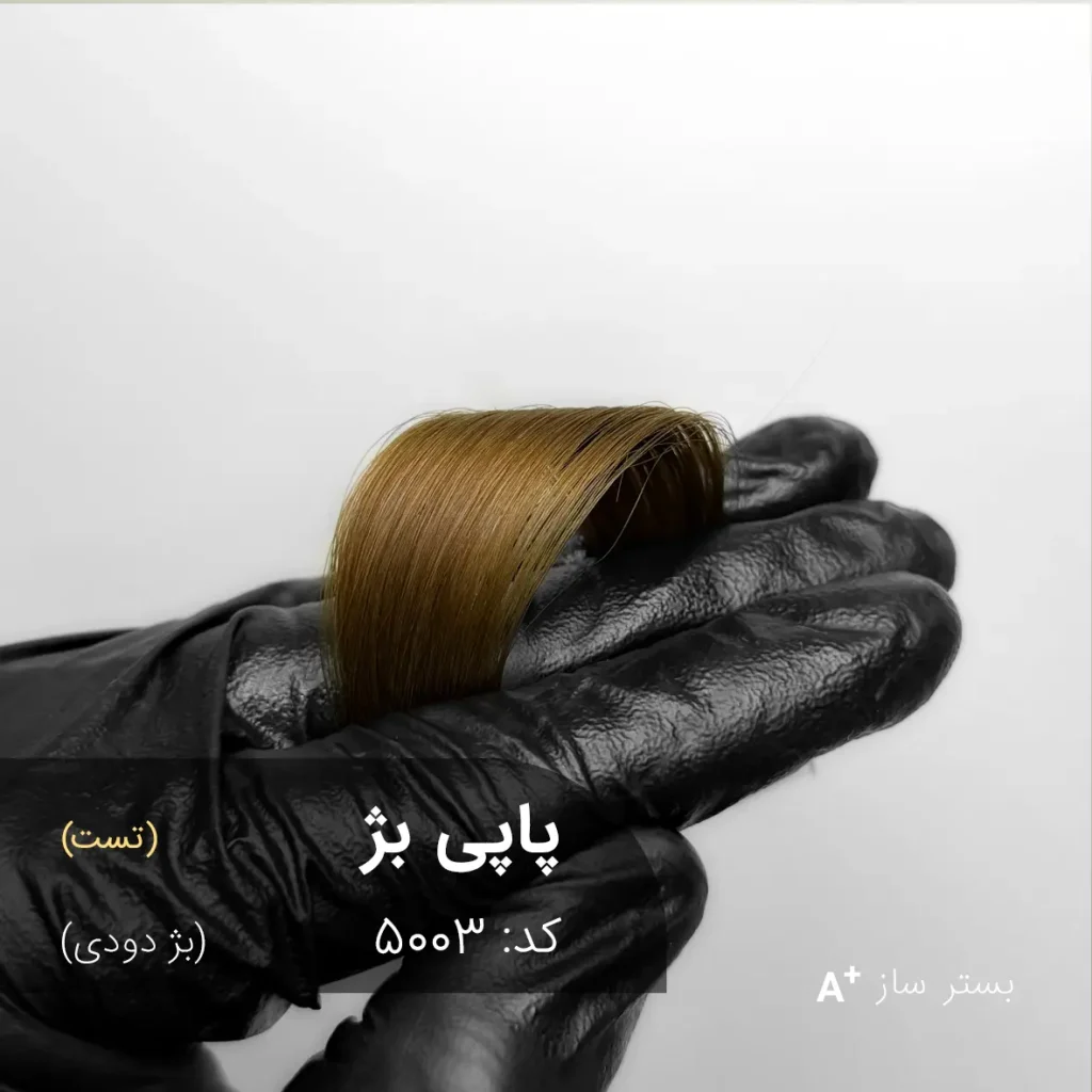 پاپی بژ 5003-بستر ساز با تناژ بژ دودی و پک کامل رنگ مو