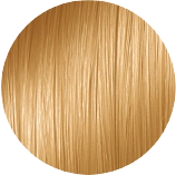 پایه 7
