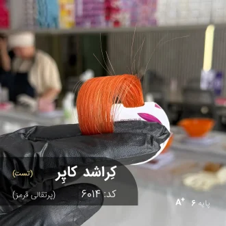 تصویری از مدل با رنگ موی کِراشد کاپِر (پرتقالی قرمز)، رنگی گرم و جذاب با پایه دکلره 6