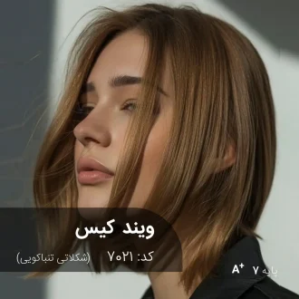 ترکیب رنگ ویند کیس (شکلاتی تنباکویی) کد 7021