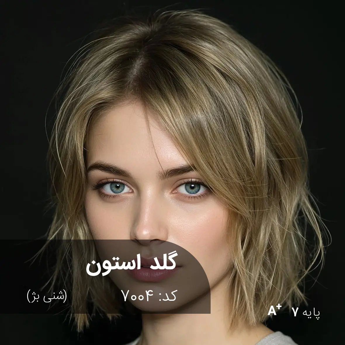 ترکیب رنگ گلد استون (شنی بژ) کد 7004 رنگ مو گلد استون شنی بژ با تناژ شنی بژ و پایه دکلره 7