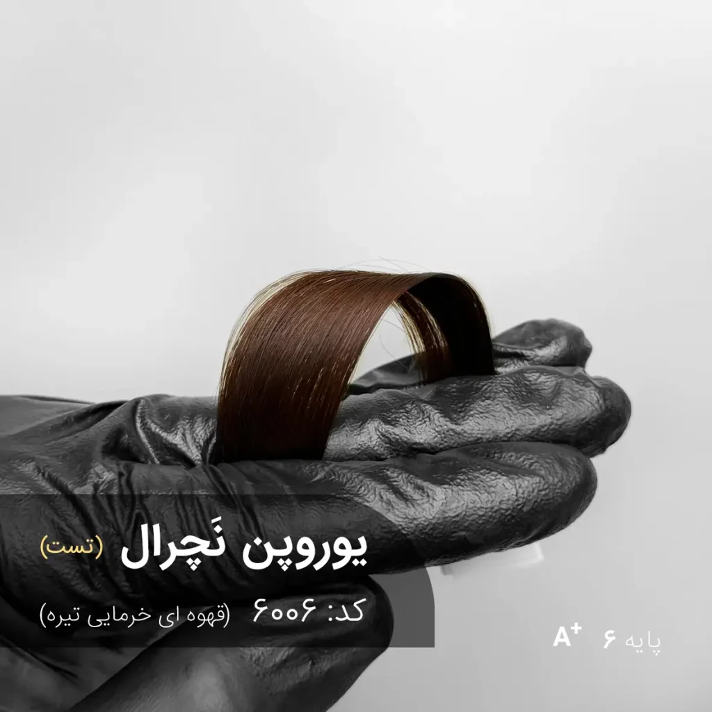 عکس ترکیب رنگ موی یوروپن نچرال (قهوه ای خرمایی تیره) روی پایه دکلره 6 با تناژ گرم و طبیعی