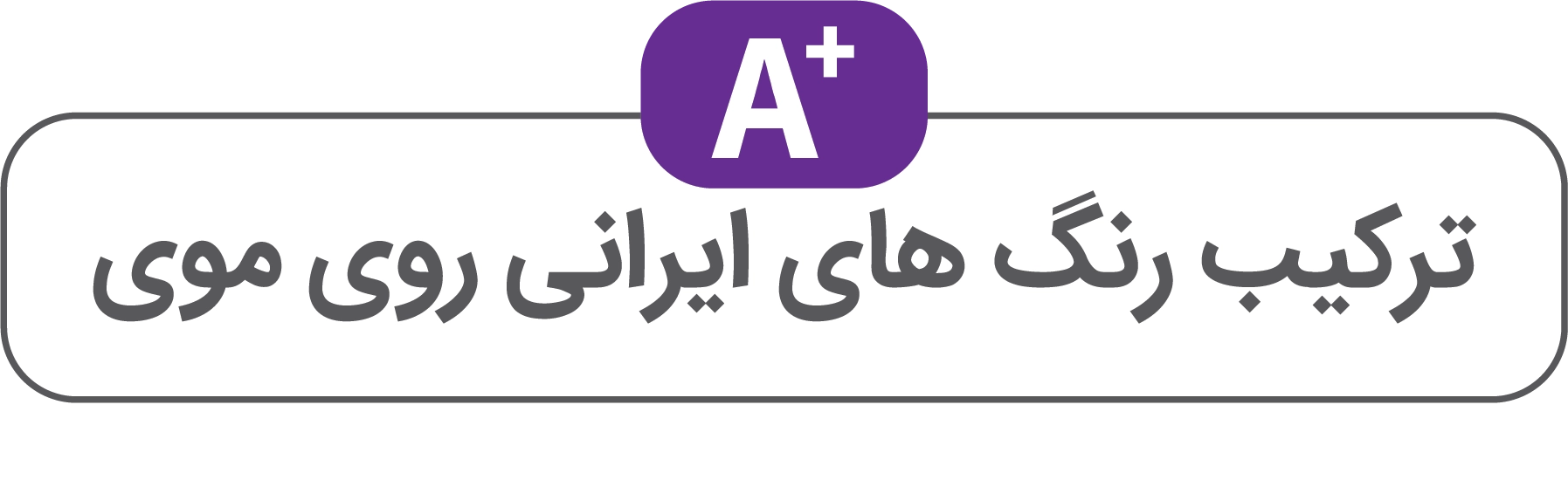 تصویر بنر ترکیب رنگهای خارجی A+ آقای رنگ مو