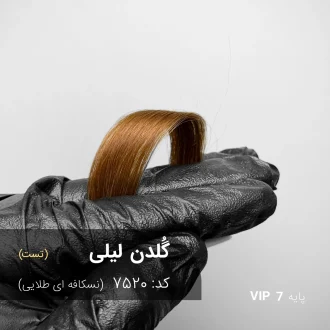 رنگ موی گُلدن لیلی با تناژ نسکافه ای طلایی روی موهای دکلره شده با پایه 7