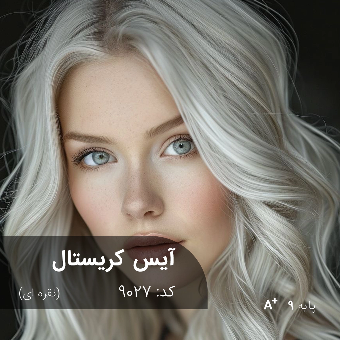 ترکیب رنگ آیس کریستال (نقره ای) کد 9027 ترکیب رنگ آیس کریستال (نقره ای) روی پایه دکلره 9 با جلوه سرد، شفاف و حرفهای