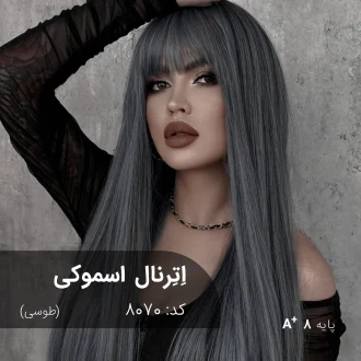 نمونه رنگ موی ترکیب رنگ اترنال اسموکی (طوسی) با جلوه‌ای مدرن و شیک بر روی پایه دکلره 8