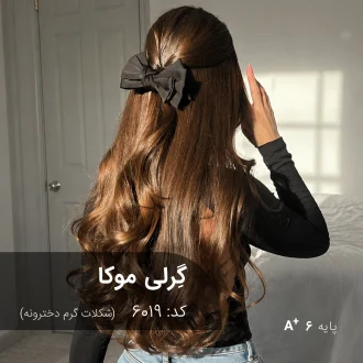ترکیب رنگ گرلی موکا (شکلاتی گرم دخترونه) کد 6019