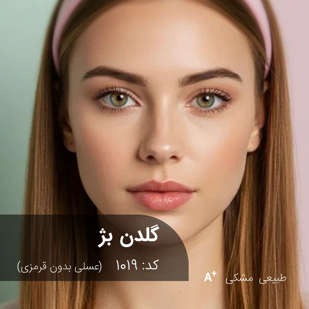 ترکیب رنگ گلدن بژ (عسلی بدون قرمزی) کد 1019 ترکیب رنگ گلدن بژ (عسلی بدون قرمزی) روی موی مشکی طبیعی با تناژ گرم و بدون بازتاب قرمز