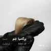 ترکیب رنگ برگامیا جم بژ کاراملی روی پایه ۸ دکلره با درخشش ابریشمی و ضد قرمزی