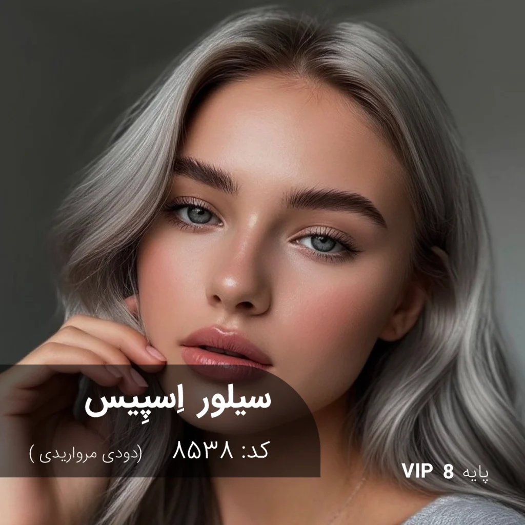 ترکیب رنگ سیلور اسپیس دودی مرواریدی روی پایه دکلره 8 همراه با پک هدیه کامل اکسیدان و ملزومات رنگساژ